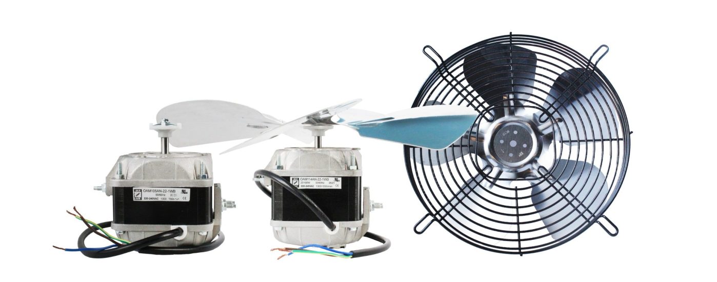 motor group copy (1)